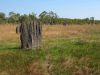 2_3_Litchfield_NP (14).jpg