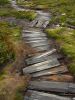 31_1_Cradle_Mountain_NP (13).jpg