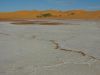 31_Dunes_du_Lake_Harris (4).jpg