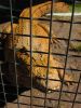 3_Darwin_Crocodile_Farm (1).jpg