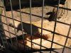 3_Darwin_Crocodile_Farm (10).jpg
