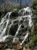 4 et 5 dcembre 2005 - Alpine National Park (89)_petit.jpg