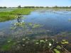 4_6_Kakadu_NP (24).jpg