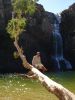 4_6_Kakadu_NP (38).jpg