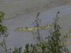 4_6_Kakadu_NP (41).jpg