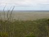 4_6_Nullarbor_Plain (12).jpg