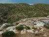 4_6_Nullarbor_Plain (7).jpg