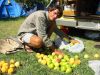 6_10_Pears_Picking_Shepparton (0).jpg