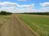 6_10_Pears_Picking_Shepparton (15).jpg