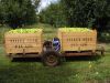 6_10_Pears_Picking_Shepparton (9).jpg
