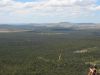 7 dcembre 2005 - Chiltern Mt Pilot National Park (44)_petit.jpg