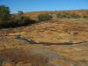 8_De_Kalgoorlie_a_Hyden (3).jpg
