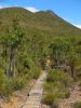 9_Stirling_Range_NP (0).jpg
