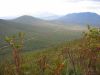 9_Stirling_Range_NP (5).jpg