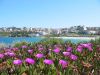 Ballade de Coogee  Bondi - 22 septembre 2005 (5)_petit.jpg