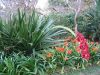 Deuxime semaines  Sydney (23)_petit.jpg