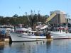 Fish Markets (28)_petit.jpg