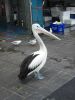 Fish Markets (34)_petit.jpg
