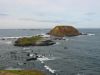 PhillipIsland_petit_ (1).jpg