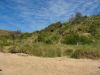 PhillipIsland_petit_ (13).jpg