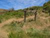 PhillipIsland_petit_ (14).jpg
