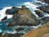 PhillipIsland_petit_ (20).jpg