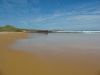 PhillipIsland_petit_ (24).jpg