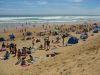 PhillipIsland_petit_ (26).jpg