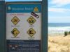 PhillipIsland_petit_ (27).jpg
