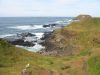 PhillipIsland_petit_ (4).jpg