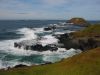 PhillipIsland_petit_ (6).jpg