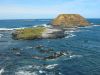 PhillipIsland_petit_ (9).jpg
