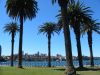 Premire semaine  Sydney (76)_petit.jpg