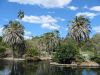 Royal Botanic Garden (21)_petit~0.jpg