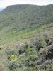 Royal National Park (11)_petit.jpg