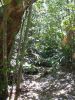 Royal National Park (14)_petit.jpg