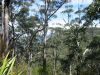 Royal National Park (15)_petit.jpg