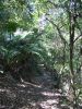 Royal National Park (16)_petit.jpg