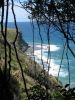 Royal National Park (19)_petit.jpg