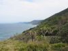 Royal National Park (21)_petit.jpg