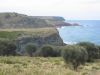 Royal National Park (23)_petit.jpg