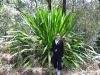 Royal National Park (3)_petit.jpg