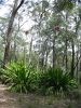 Royal National Park (4)_petit.jpg