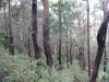 Royal National Park (42)_petit.jpg