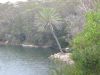 Royal National Park (45)_petit.jpg