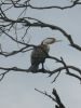 Royal National Park (49)_petit.jpg