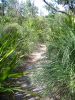 Royal National Park (5)_petit.jpg