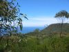 Royal National Park (6)_petit.jpg