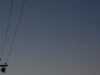Troisime semaine  Sydney (17)_petit.jpg