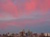 Troisime semaine  Sydney (18)_petit.jpg
